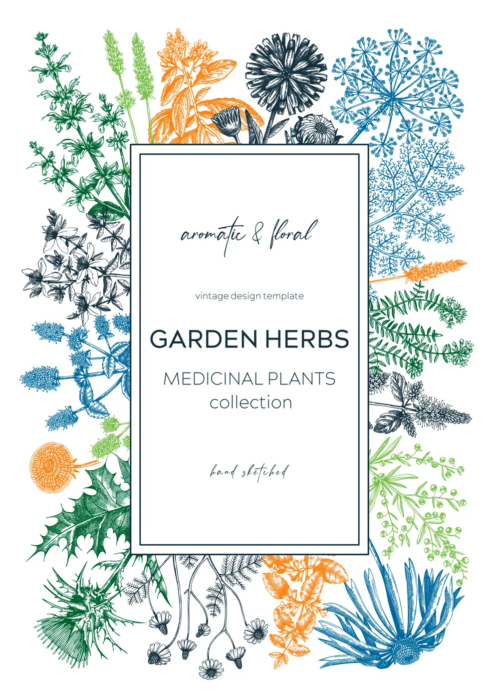 Vintage herb card or invitation. Aromatic plants botanical design. Herbal tea ingredients. Hand drawn medicinal herbs for cosmetics, perfumery, herbal medicine. Floral wreath Illustration